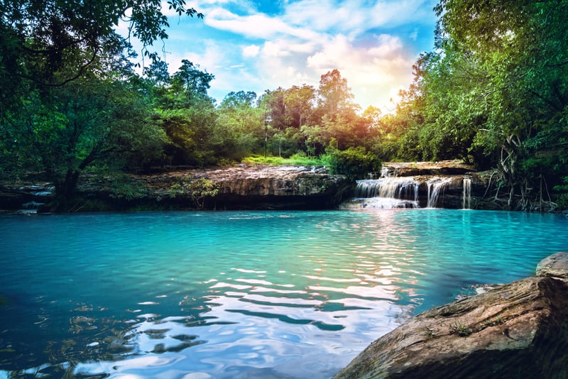 Natural pool